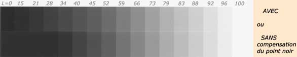 impression de charte de gris